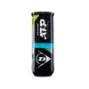 Dunlop ATP Championship Regular Duty Tennis Ball - Individual Can (3 Balls) 1 Dunlop ATP Championship Regular Duty Tennis Ball - Individual Can (3 Balls) -Cheap Tennis Shop ATP CHAMP BALL